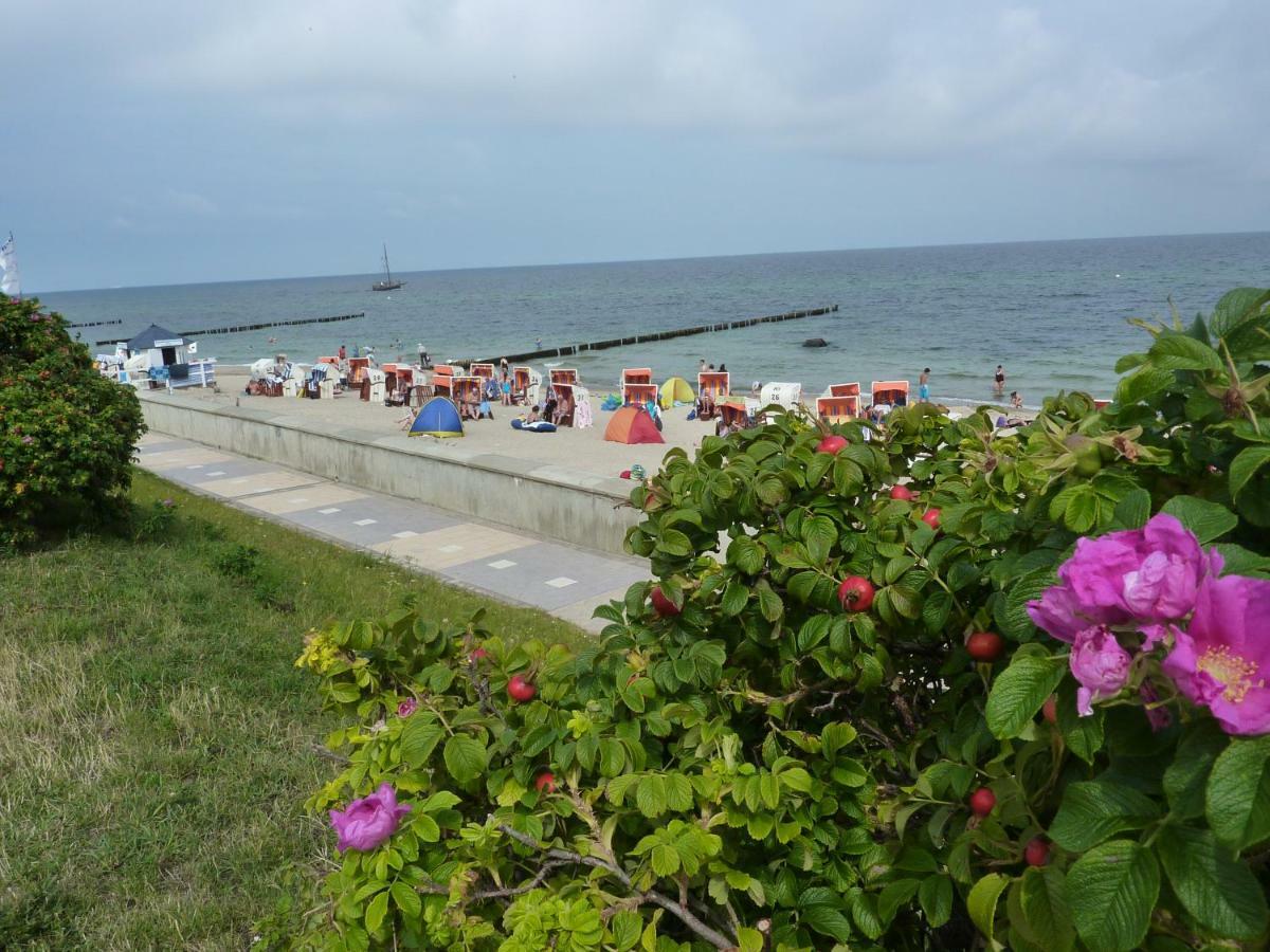 Patricia Apartment Ostseebad Kühlungsborn
